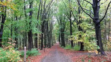 Photo de Chartreuzenbos