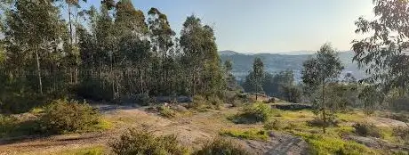 Photo de Monte Capelão - Monte Miradouro