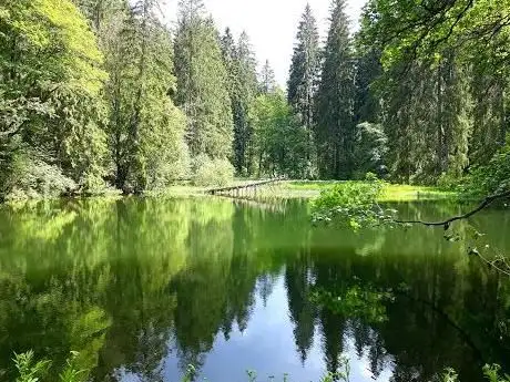 Photo de Knöpfelstaler Teich