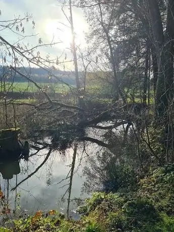 Photo de Bucher Graben