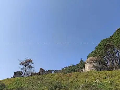 Photo de Platano Orientale Millenario Monumentale - Platano di Vrisi