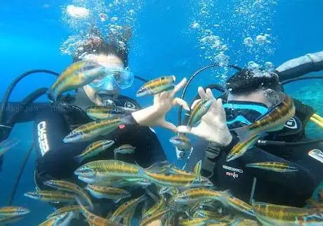 Photo de PARA DIVE Club