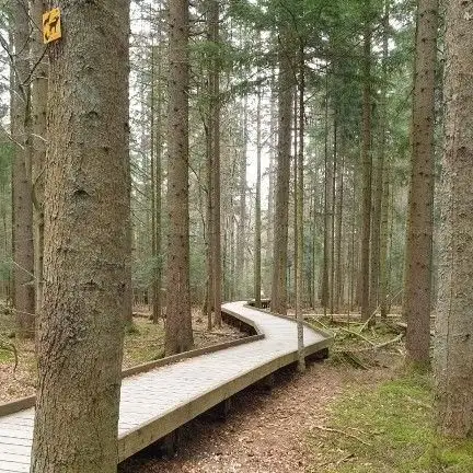 Photo de Spreewaldbahnhof Straupitz