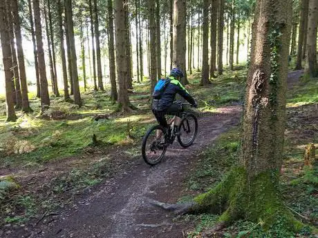 Foto de Forest of Dean Cycle Centre