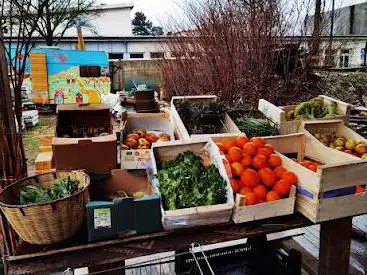 Photo de Récolte Urbaine
