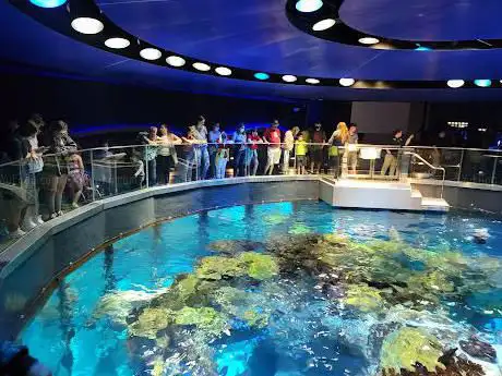 Photo of Aquarium de Nouvelle-Angleterre