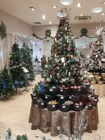 Photo of Christmas Magic