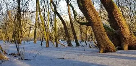 Photo de Spielplatz