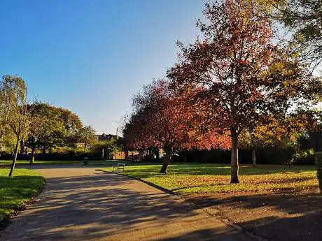 Photo de Hylands Park
