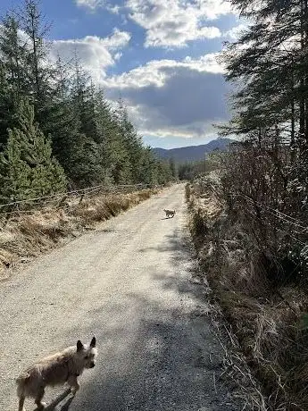 Photo de Lettershanbally Nature Walk