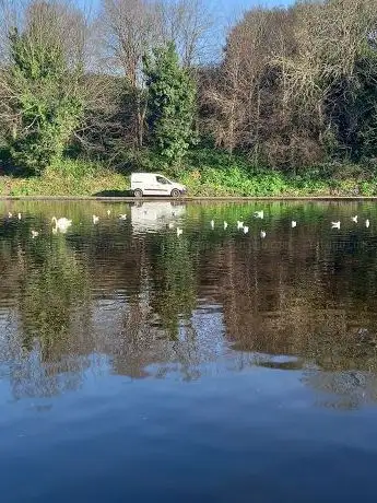 Photo de Bushy Park Duck Pond
