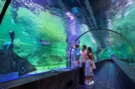 Photo de ViaSea Akvaryum