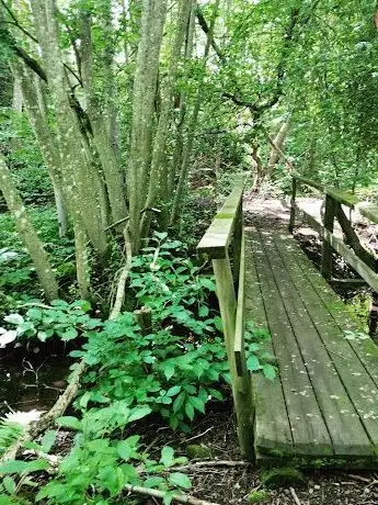 Photo de falekvarna
