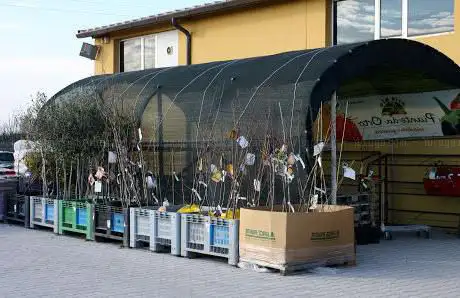 Photo de Terre Etruria - Marciana di Cascina