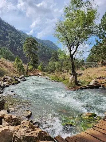 Photo de Başpınar Nature Park
