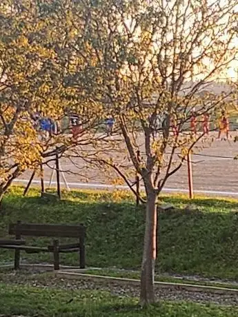 Photo de Centro Desportivo e Cultural da Sete