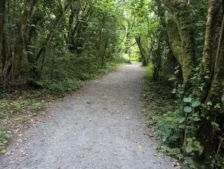 Photo de Duntally Wood Nature Reserve