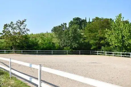 Photo de Circolo Ippico Colle Arzan
