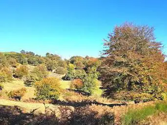 Photo de Circuit de l'Orb à l'Escandorgue