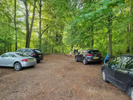 Photo de Harling Woods