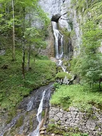 Photo de Totes Weib