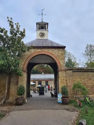 Photo de National Trust - Morden Hall Park