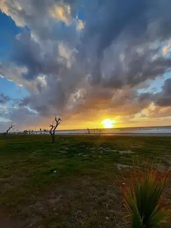 Photo de Fidanlık