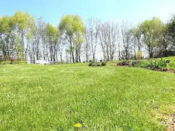 Photo de biodiversité Garden