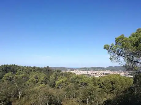 Photo de Coll d'en Bosqueta