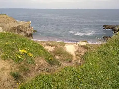 Photo de Harton Downhill Nature Reserve