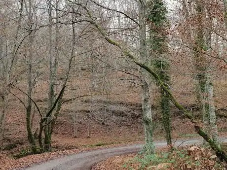 Photo de Albinako Presa