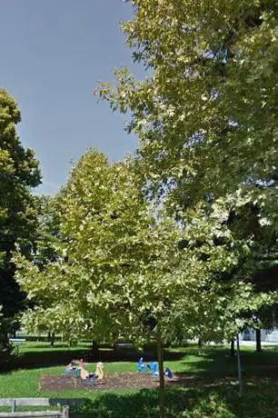 Photo de Parco Galvani