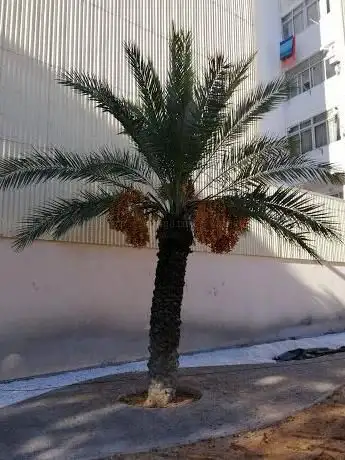 Photo de Parque Rabal