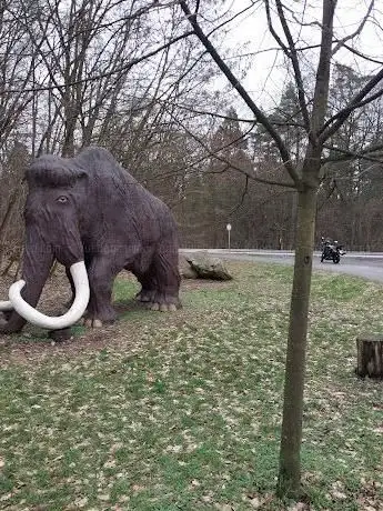 Photo de Eiszeit-Mammut