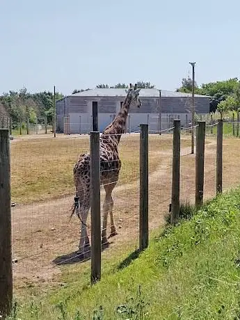Photo of The Gruffalo Discovery Land at Twycross Zoo