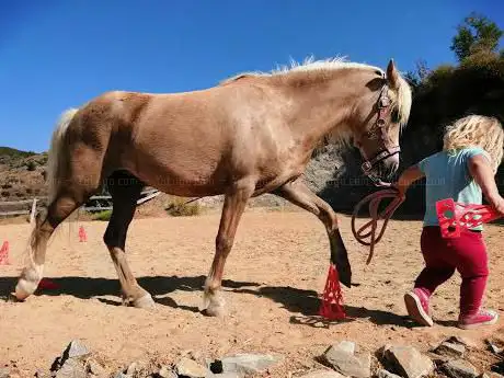 Photo de Rancho Everfree