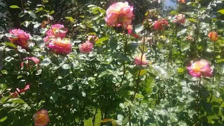 Photo de 75th Anniversary Park