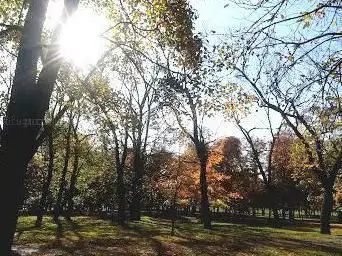 Photo de Parque Antoniutti