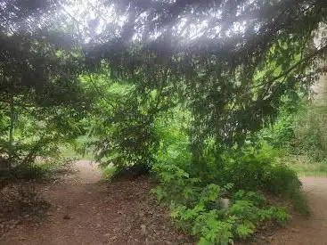 Photo de René-Dumont park
