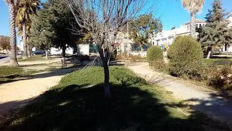 Photo de Nuevo Parque Municipal 