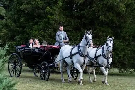 Photo de Hundley Carriages