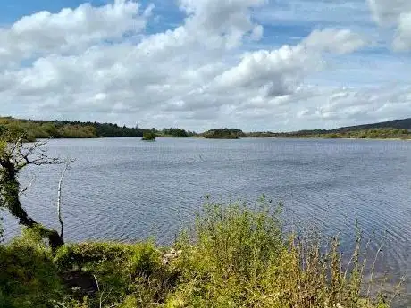 Photo de Knockranny Woods
