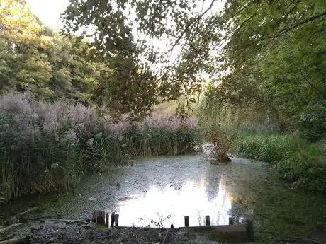Photo de Parc Saint-Vincent
