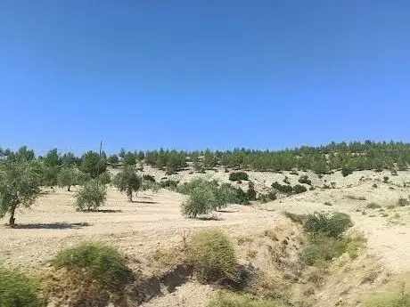 Photo de Kilis Martyrs Forest