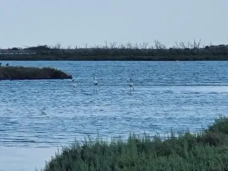 Photo de observatoire ornithologique