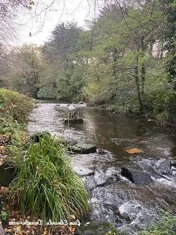 Photo de The Dodder walk