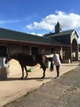 Photo de Avenue Farm and Marson Stables