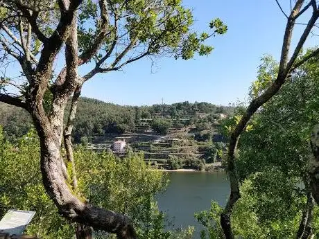 Photo de Parque Botânico do Castelo