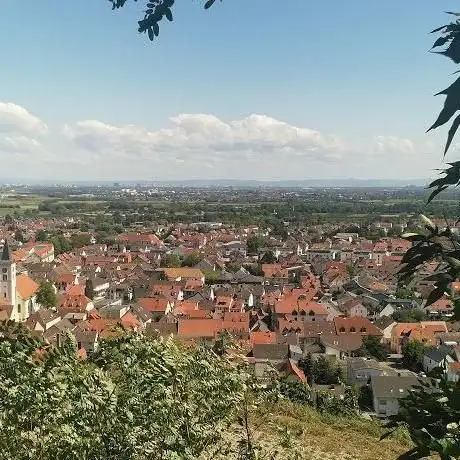 Photo de Weinberge Laudenbach/Heppenheim