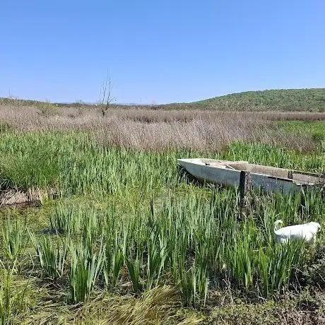 Photo de Jezero kraj Njivica